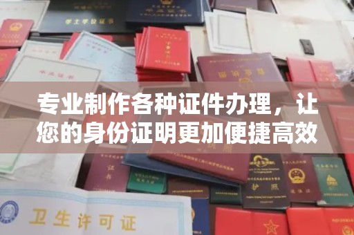 新洲专业制作各种证件办理，让您的身份证明更加便捷高效