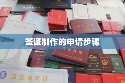 新洲签证制作的申请步骤