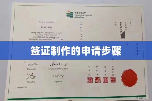 新洲签证制作的申请步骤